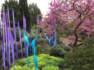 Dale Chihuly. Neodymium Reeds and Turquoise Marlins, blown glass, (date not specified). Royal Botanic Gardens, Kew, London 2019. Photo: Anna McNay.