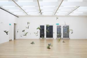 Daniel Steegmann Mangrané, The Word for World is Forest, 2019, installation view at Nottingham Contemporary. Photo Stuart Whipps.