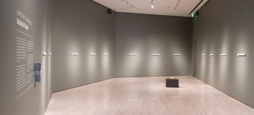 Margaret Evangeline (installation). The Eli and Edythe Broad Art Museum at Michigan State University